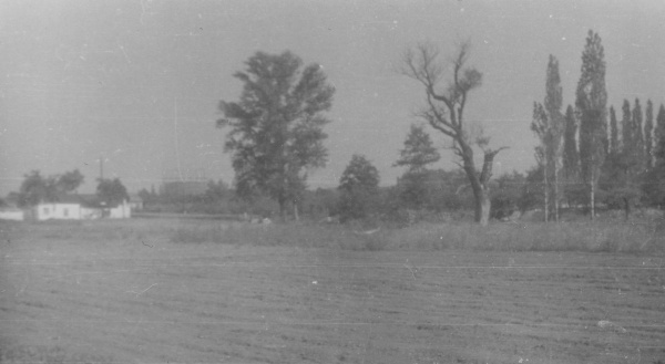 regi_kepek_05.jpg regi_kepek_05.jpg