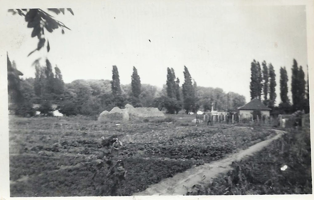 regi_kepek_4.jpg regi_kepek_4.jpg