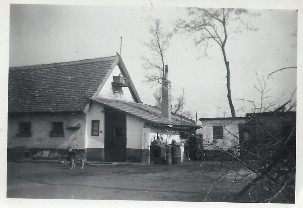 regi_kepek_1.jpg regi_kepek_1.jpg