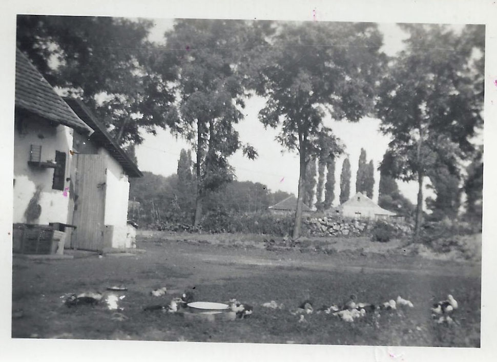 regi_kepek_3.jpg regi_kepek_3.jpg